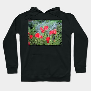 Poppy seed from sage Hoodie